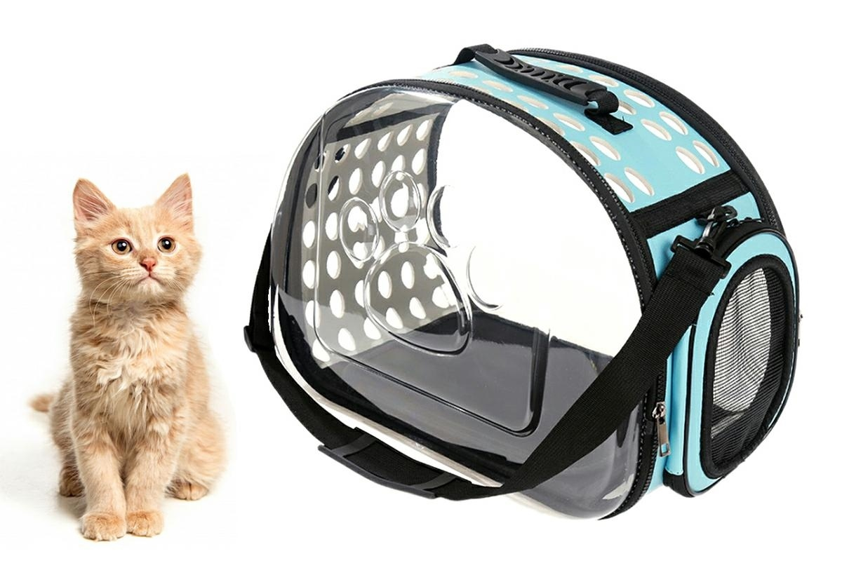 Geanta de transport animale pliabila pentru caini sau pisici de talie mica culoare transparenta turcoaz [8]