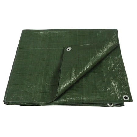 Sere si solarii - Prelata impermeabila, 10x12m, densitate 65g/mﾲ, inele de prindere, culoare verde Verde 10 m 12 m