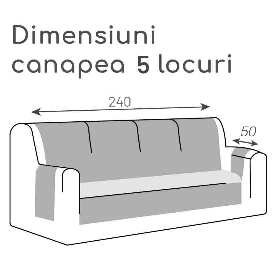 40472506