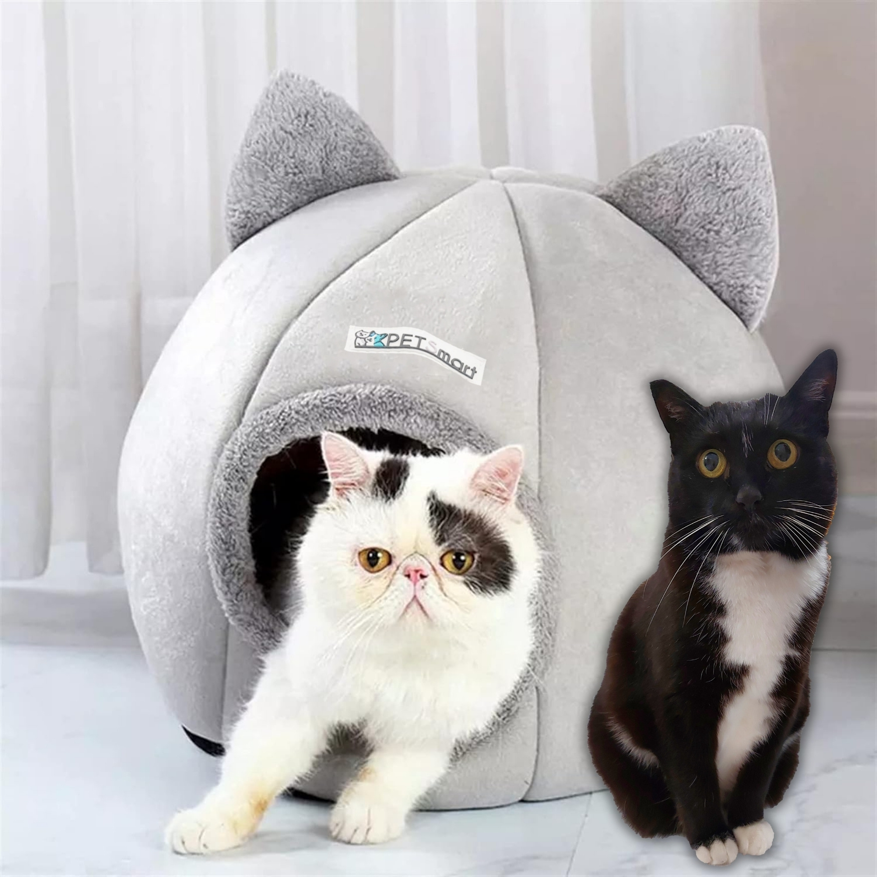 мека крепост от дебелостенни котки