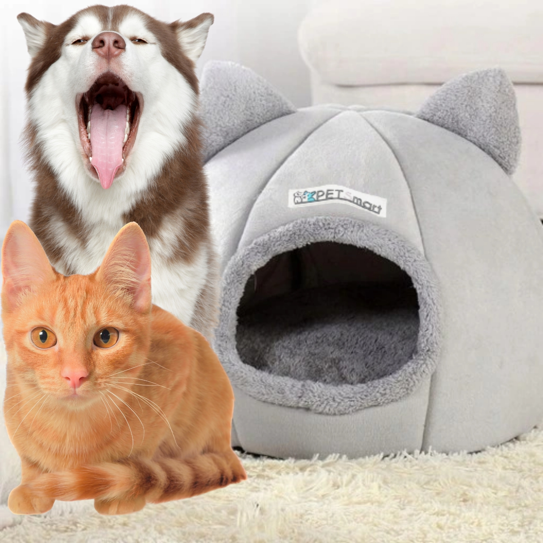 място за почивка на котката с неплъзгаща се основа