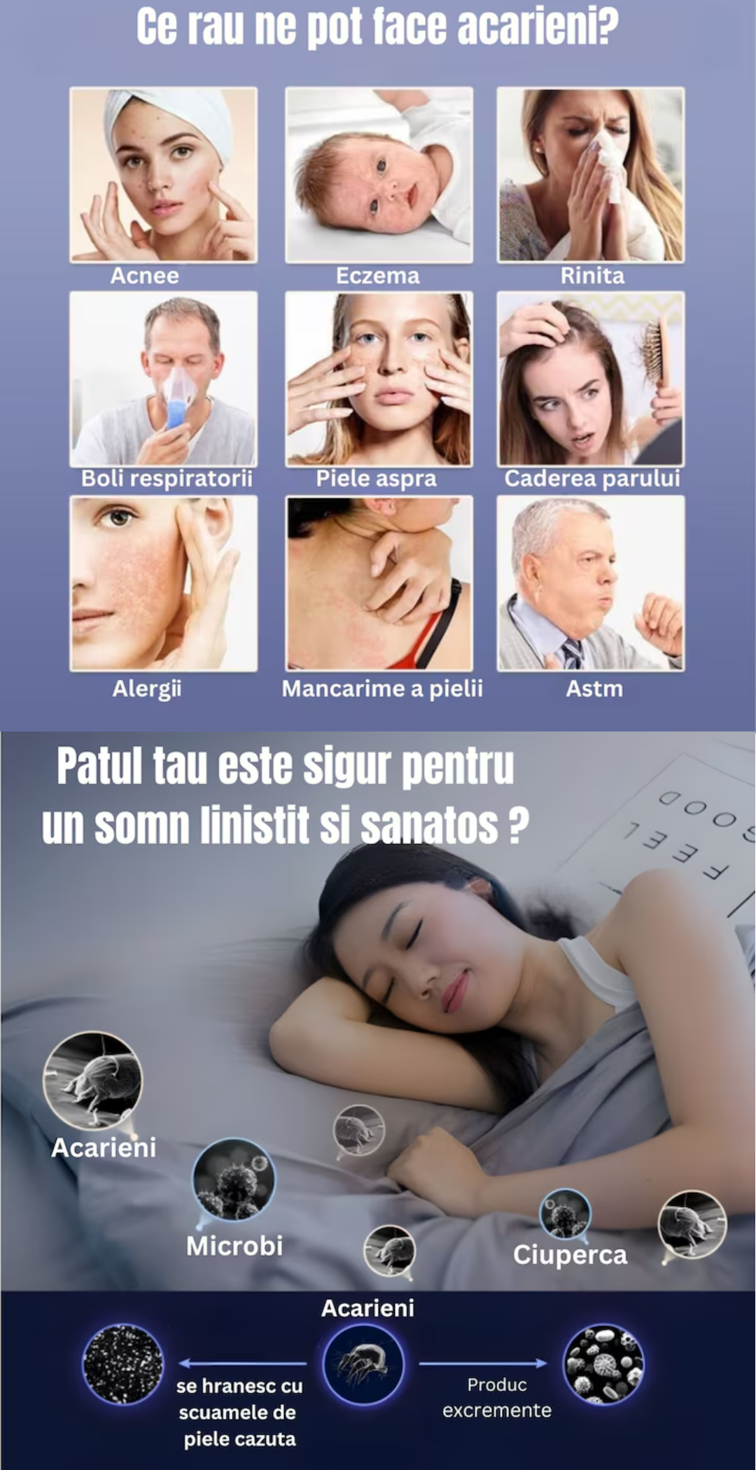 Aspirator Profesional LUDORA® de Mana Antiacarieni , 2 in 1 Tehnologie UV, Putere de Aspirare Mare de 12000pa, Filtru HEPA, Fara Sac si Fara Fir, 100W, Lumina UV Curatare Avansata, Portabil, Igienizare si Sterilizare Eficienta, Pentru Praf, Par Animale