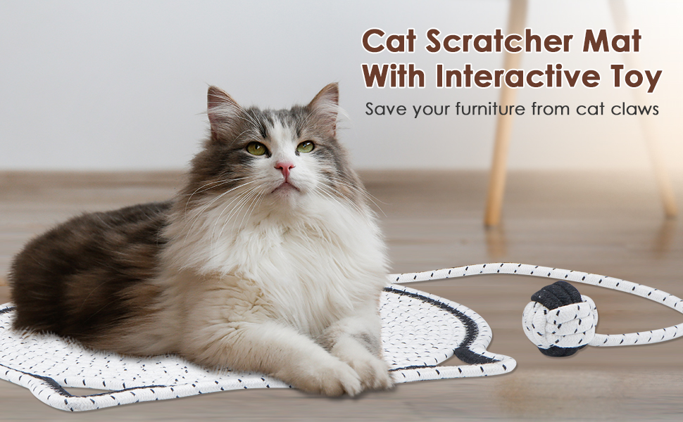 Cat Mat Design