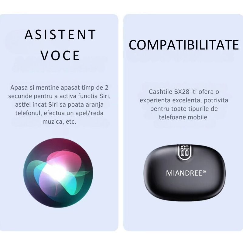 Asistent Vocal