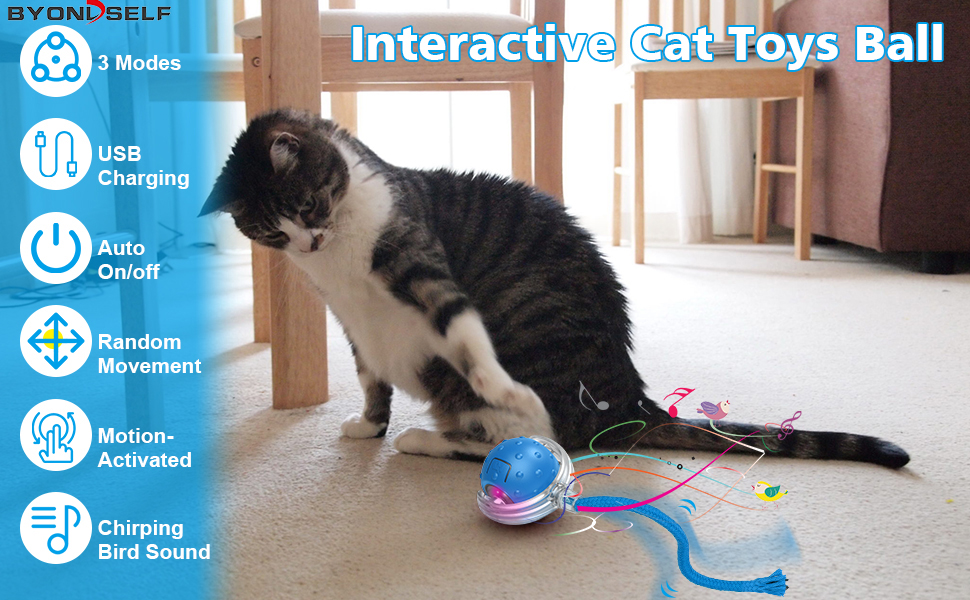 64029616.jpg (970×600)