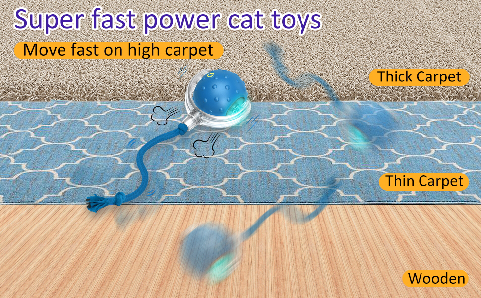 64029624.jpg (970×600)