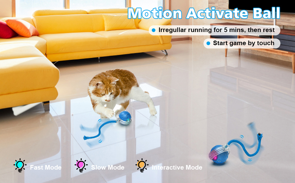 64029625.jpg (970×600)