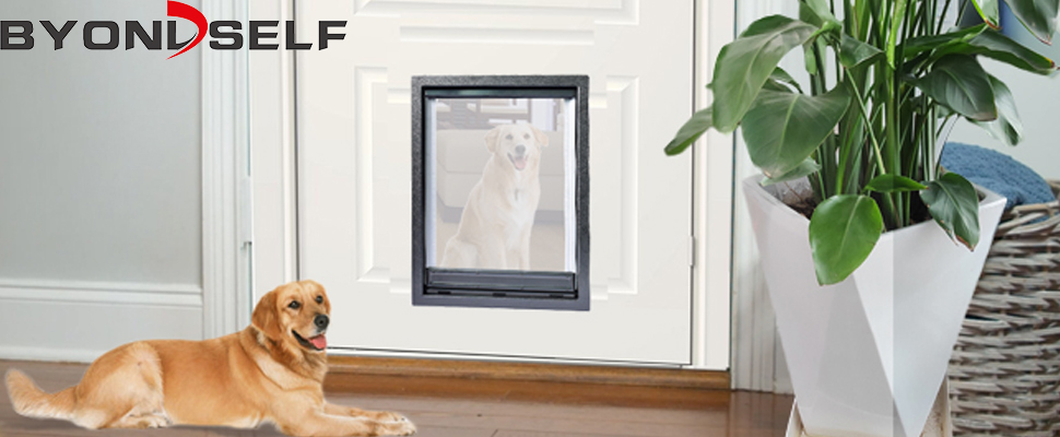 64040886.jpg (970×400)