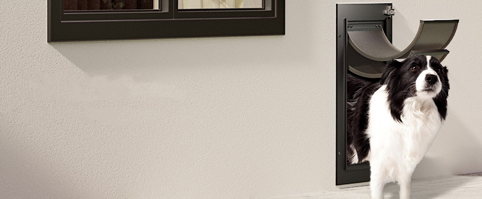 64040888.jpg (970×400)