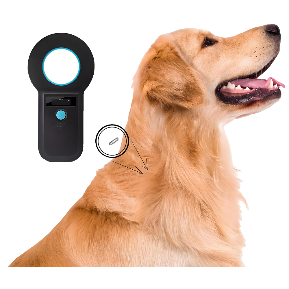 Неизвестно изображение